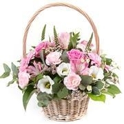Basket Beauty